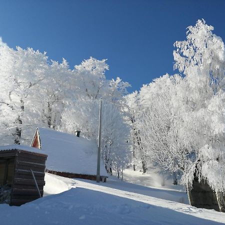Mountain Village Žabljak Екстериор снимка