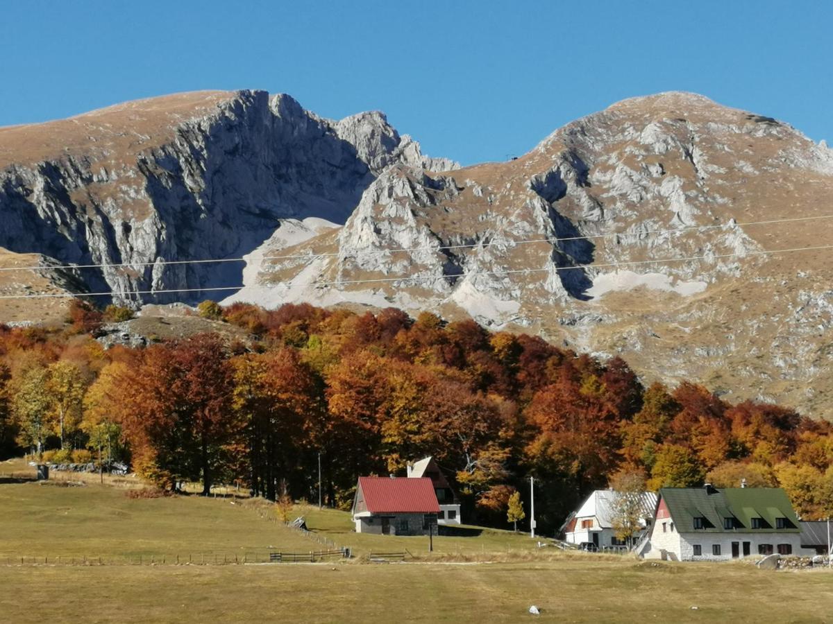 Mountain Village Žabljak Екстериор снимка