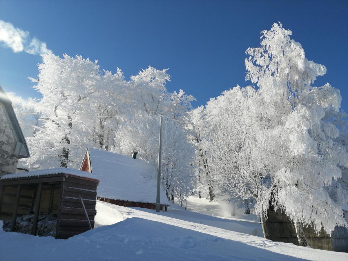 Mountain Village Žabljak Екстериор снимка