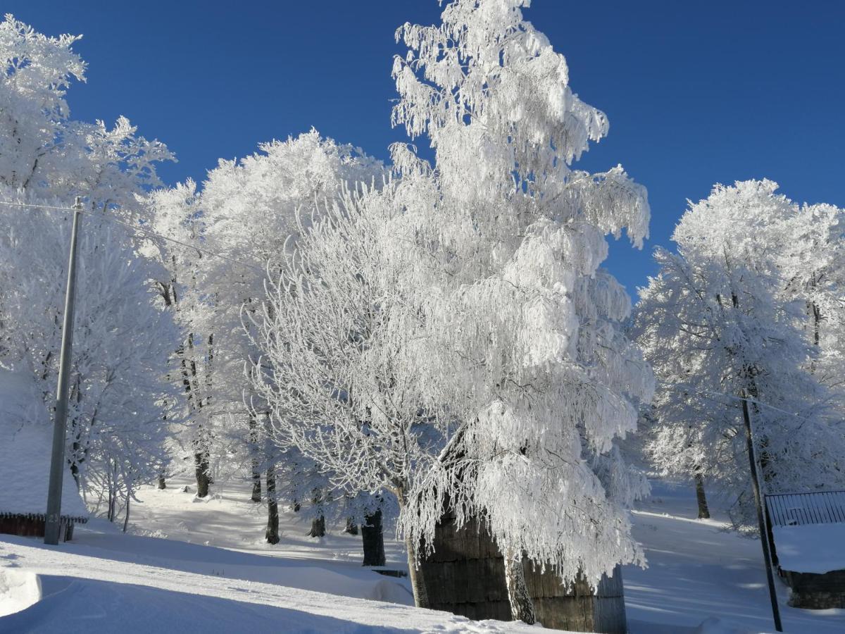 Mountain Village Žabljak Екстериор снимка